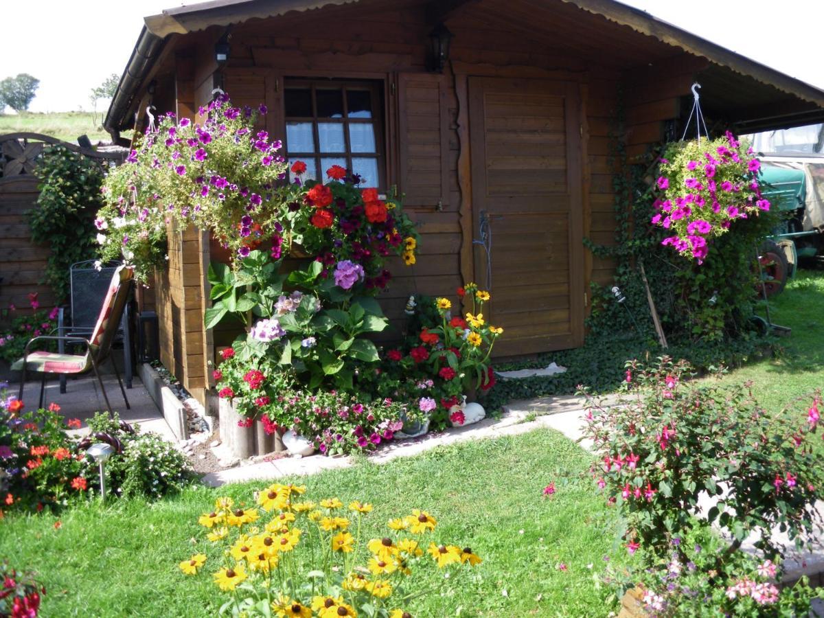 Pension Haus Ludwig Schotten Bagian luar foto